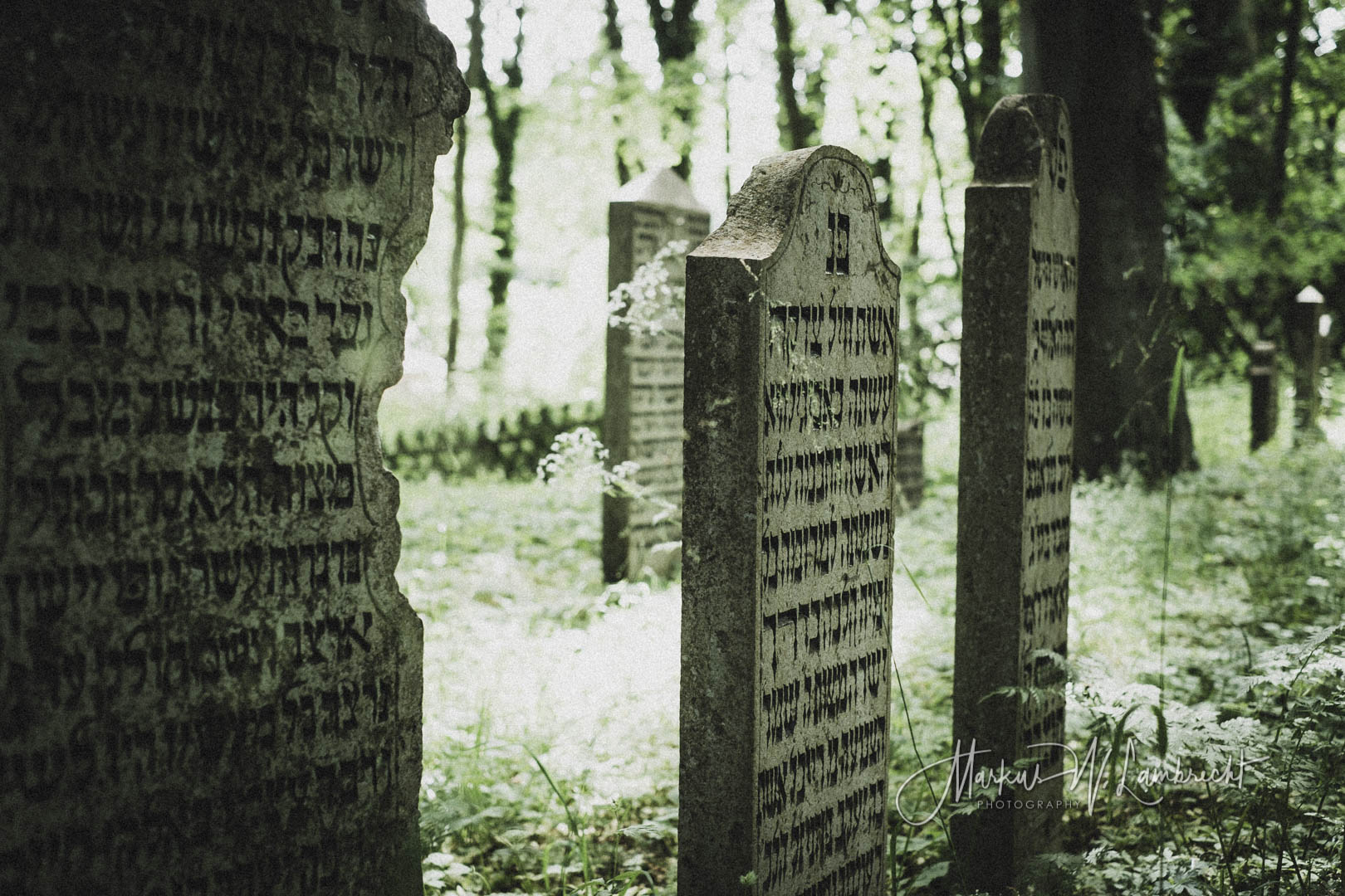 Niederhof (Sundhagen), Jüdischer Friedhof